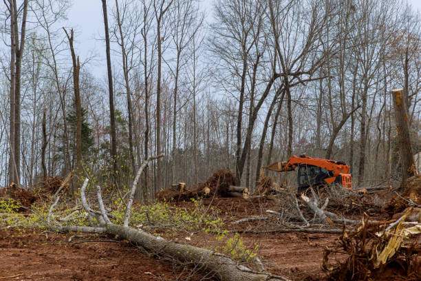 Mulching Services in Hampton Manor, NY